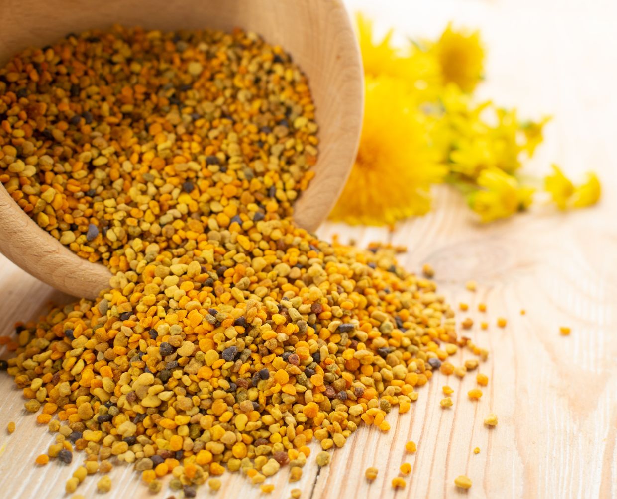 Pollen frais - bienfait - vitalité - immunité - automne - Hiver - fertilité